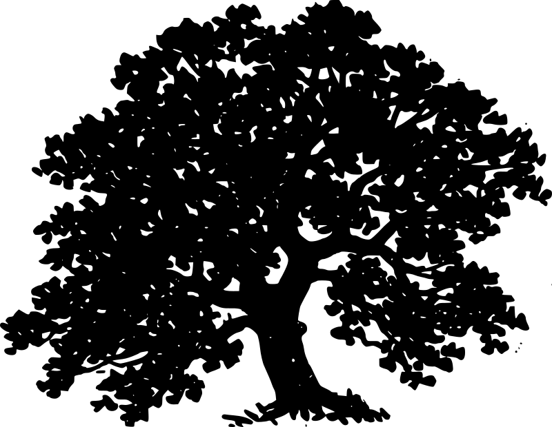 Tree silhouette