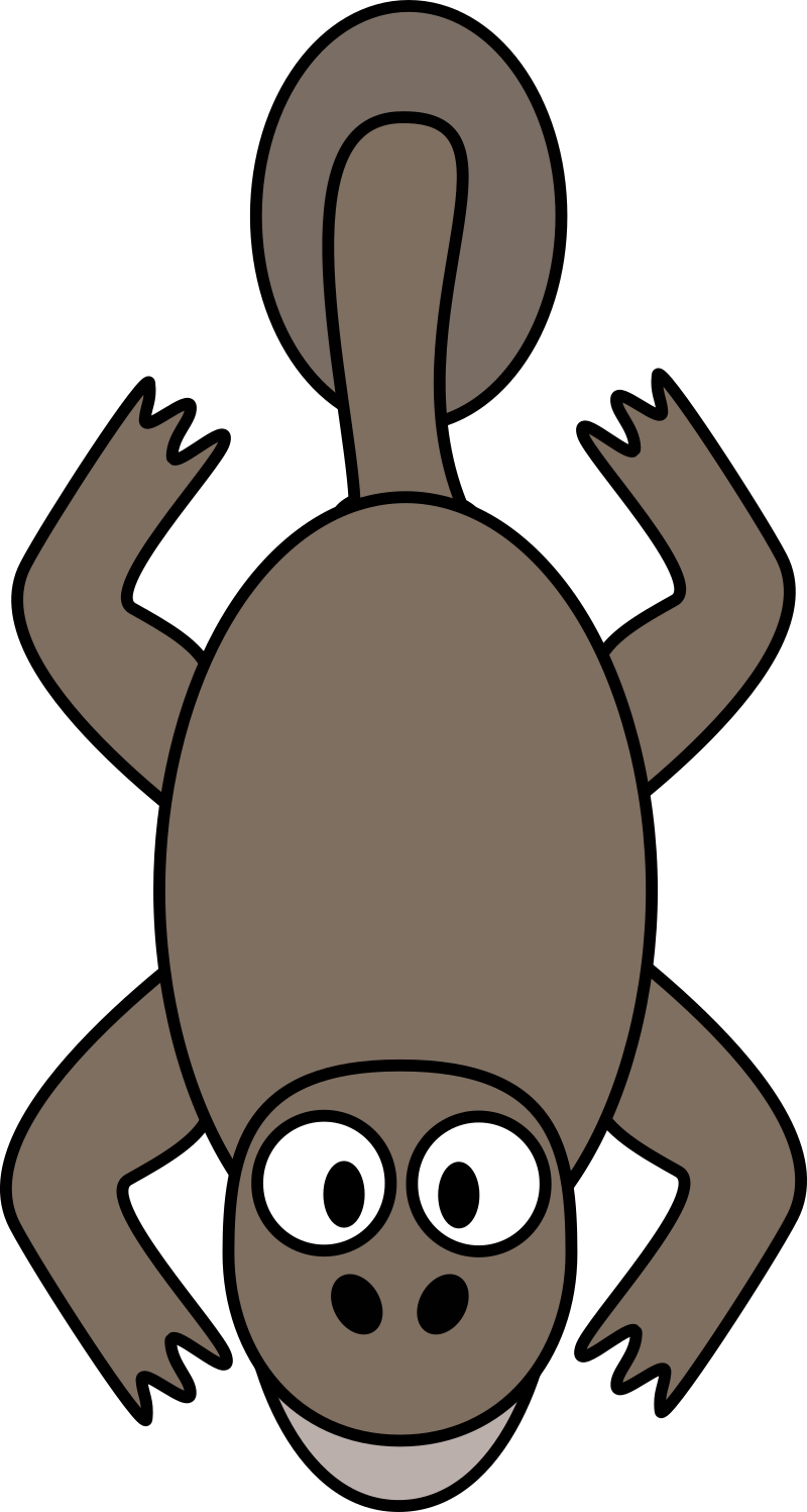 Acanthostega