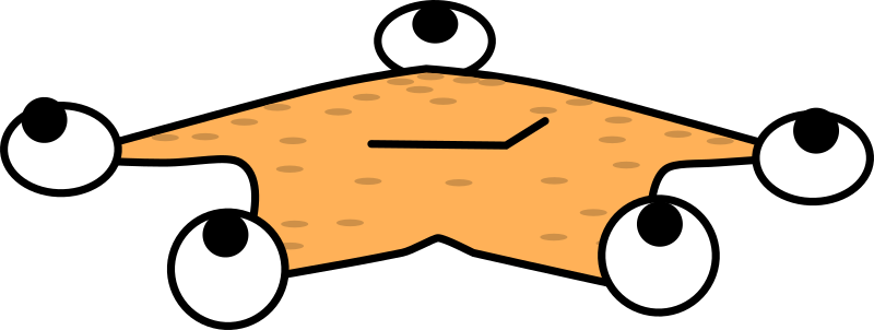 Cartoon Starfish laying down