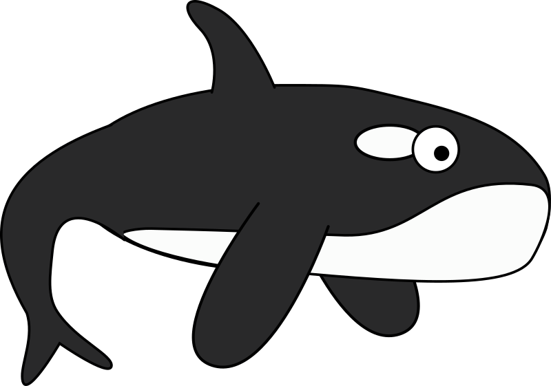 Orca