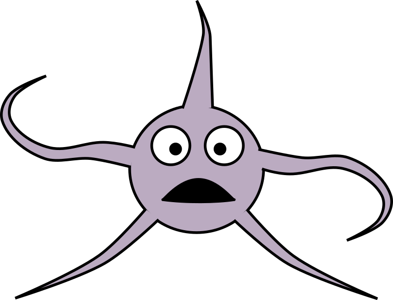 Brittle Star