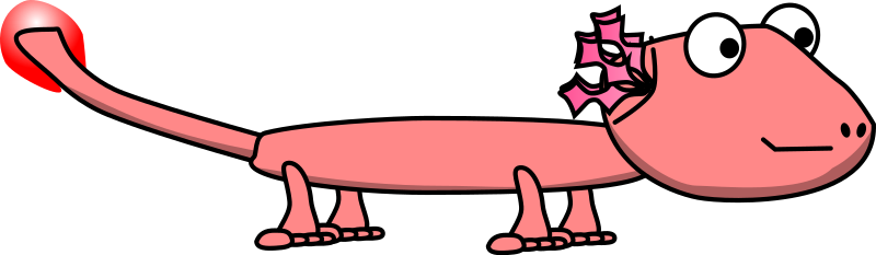 Cartoon Cave Salamander