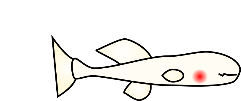 Cartoon Blind Cavefish