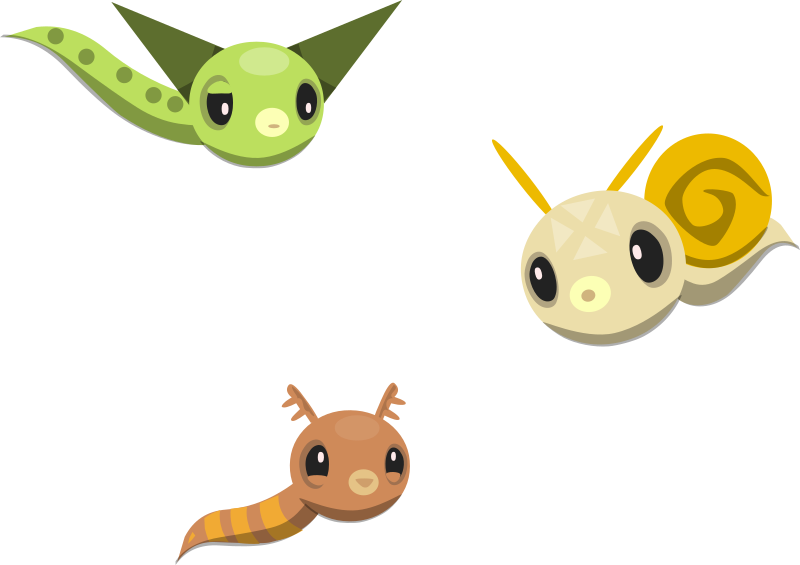 Sea Slugs