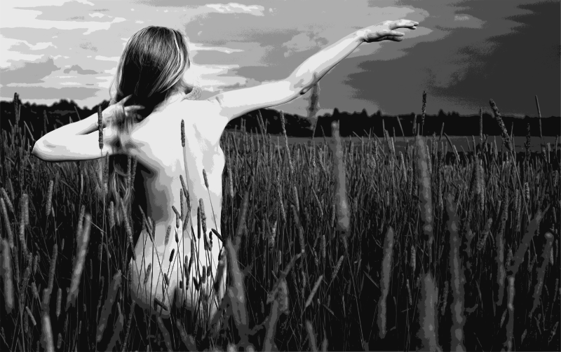 Field