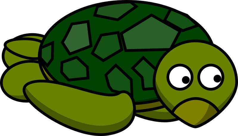 Sea Turtle's Side