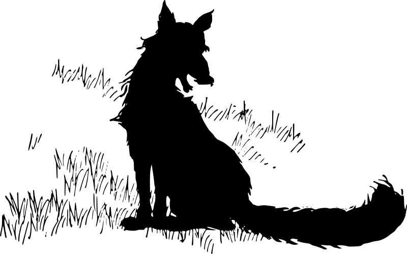 Silhouette of a fox