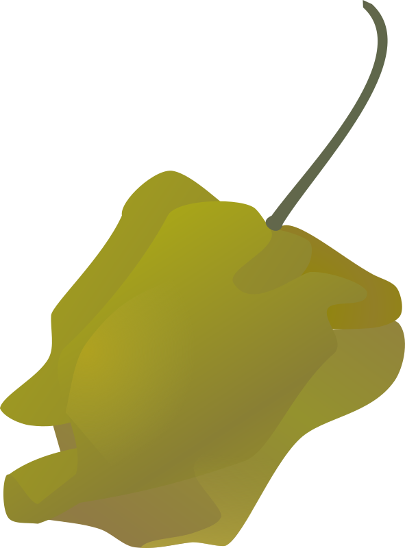 habanero pepper simple