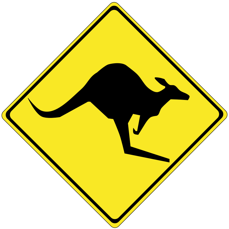 Warning kangaroos ahead