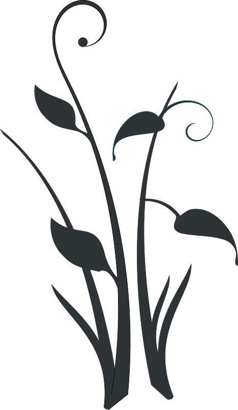 decorative form
