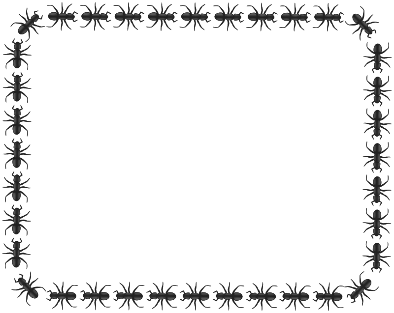 ant border rectangle