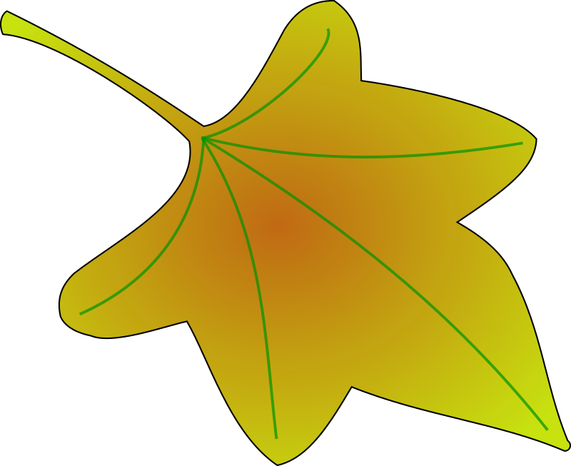 leaf 01
