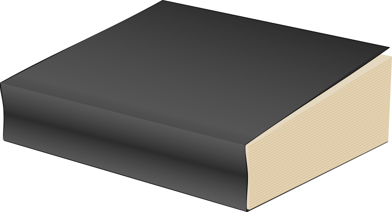 paperback book black gal 
