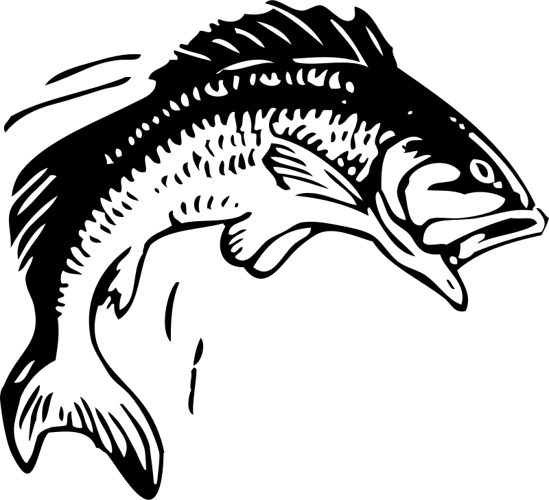jumping fish