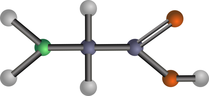 Glycine (amino acid)