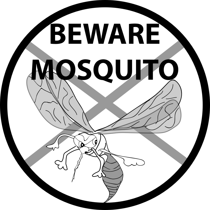 BEWARE MOSQUITO