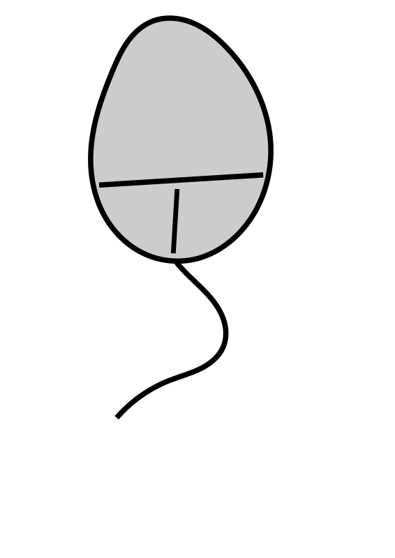 Mouse Pc