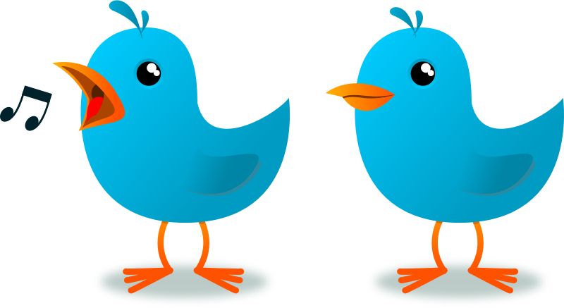 Bird Mascot