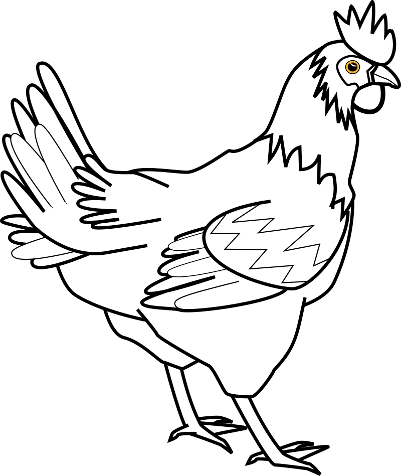 chicken line art davidone Chicken