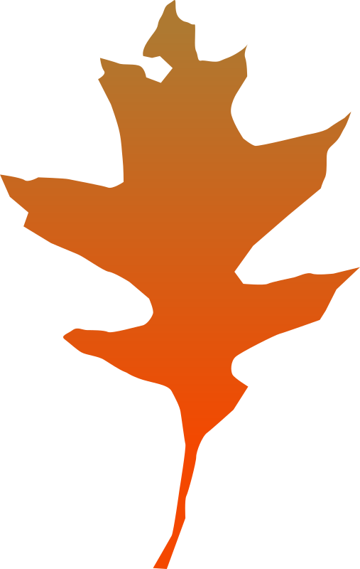 leaf oak