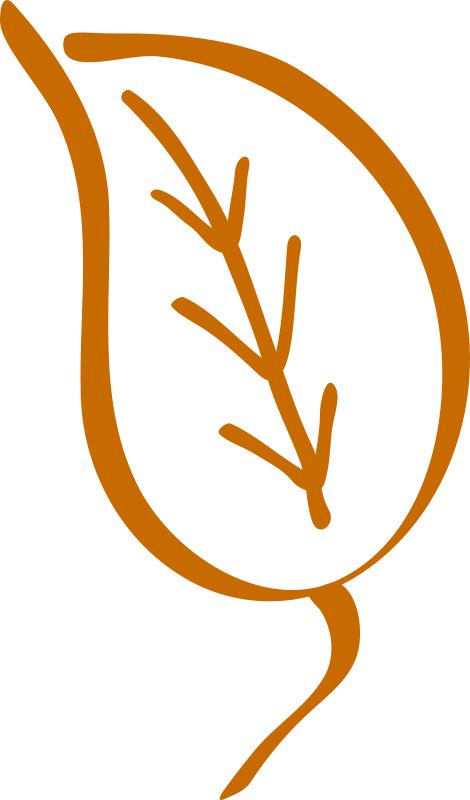 Old leaf