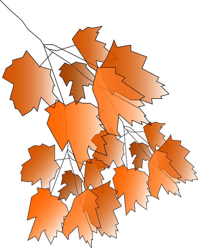 Fall2010-4