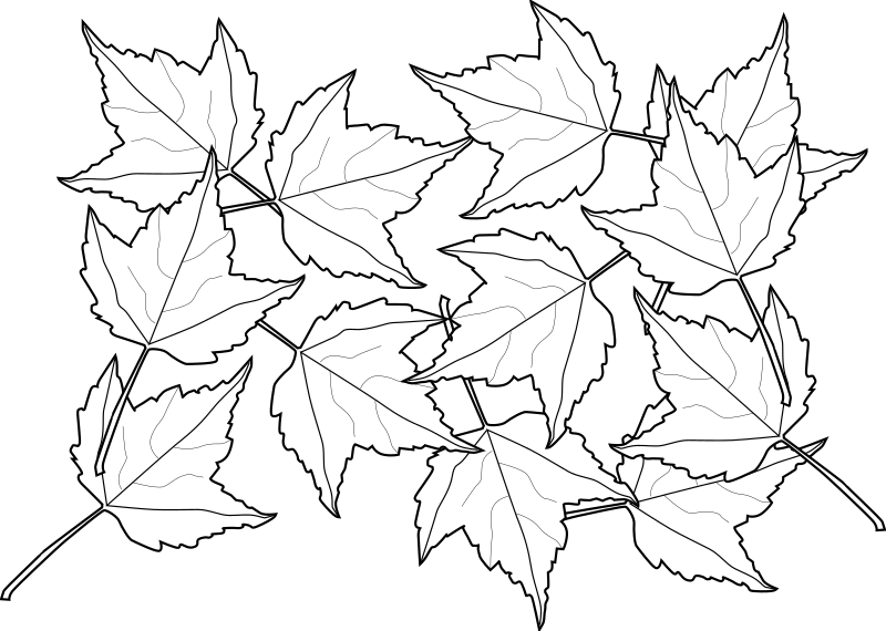 Fall2010-13