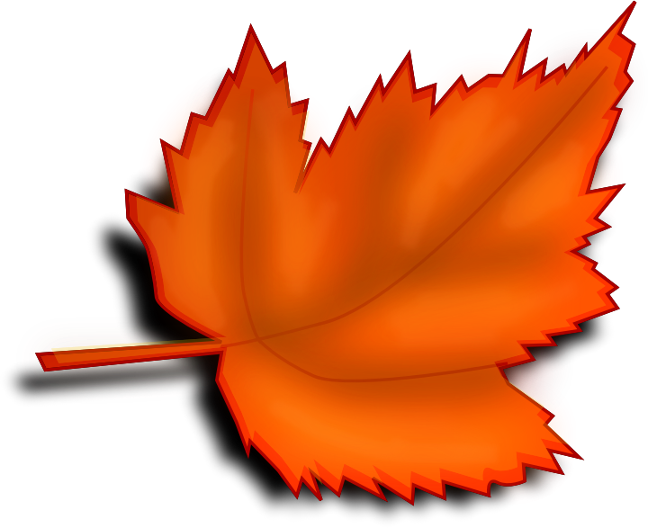 Leaf 1a