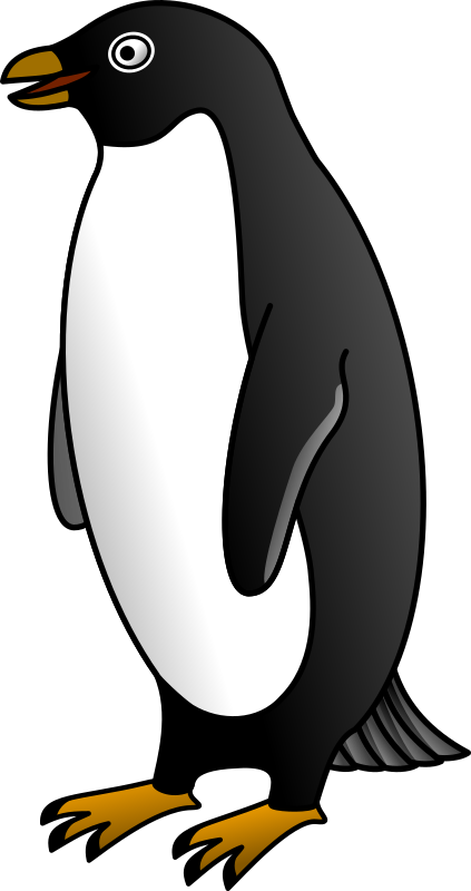 Adelie penguin