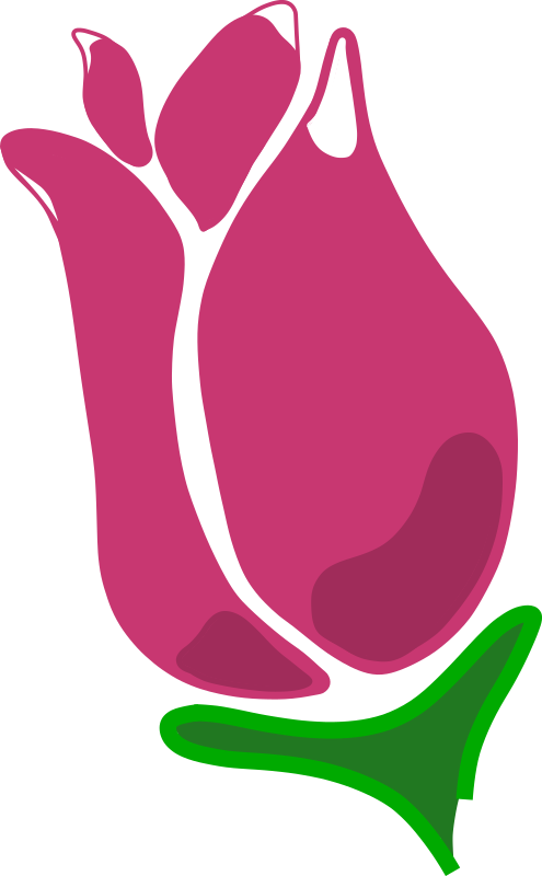 Happy rose