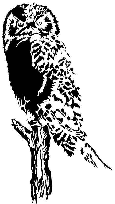Owl (Stylized)