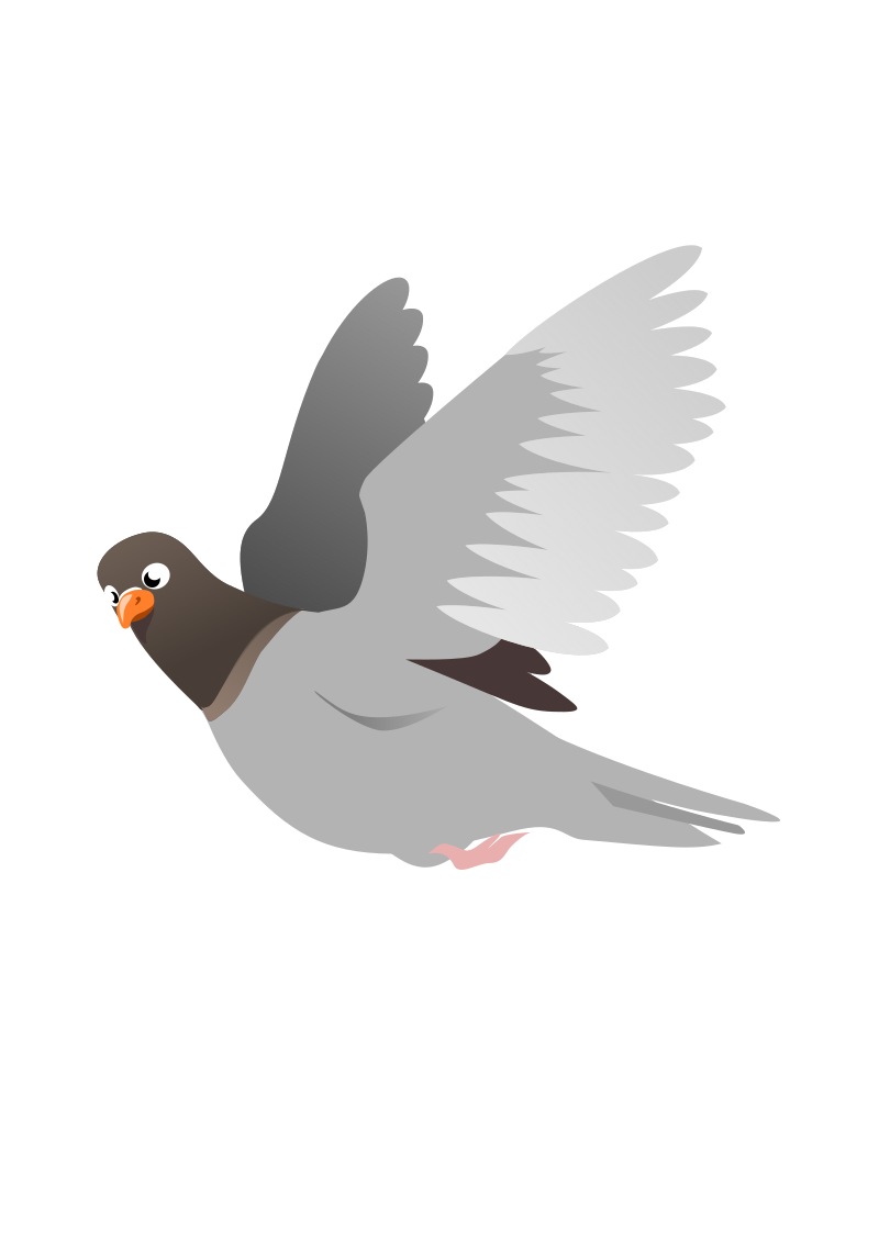 A Flying Pigeon