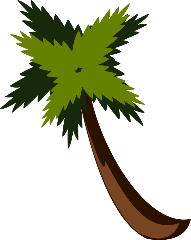 PalmTreeBySteve
