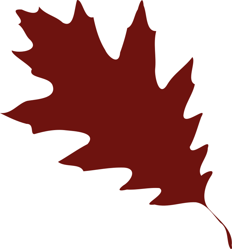 leaf 08