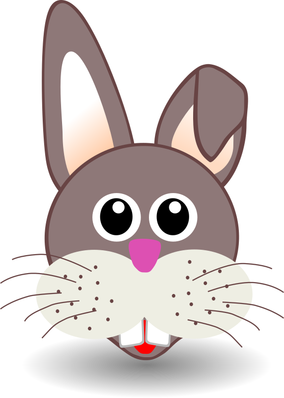 funny bunny face