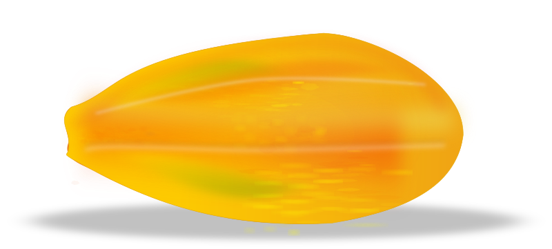 papaya