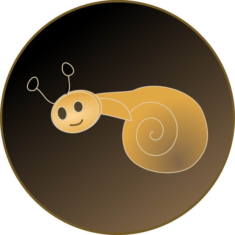 snail illustration