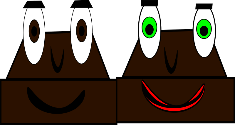 mr and mrs chocolate
