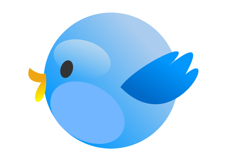 Cutie Bird 