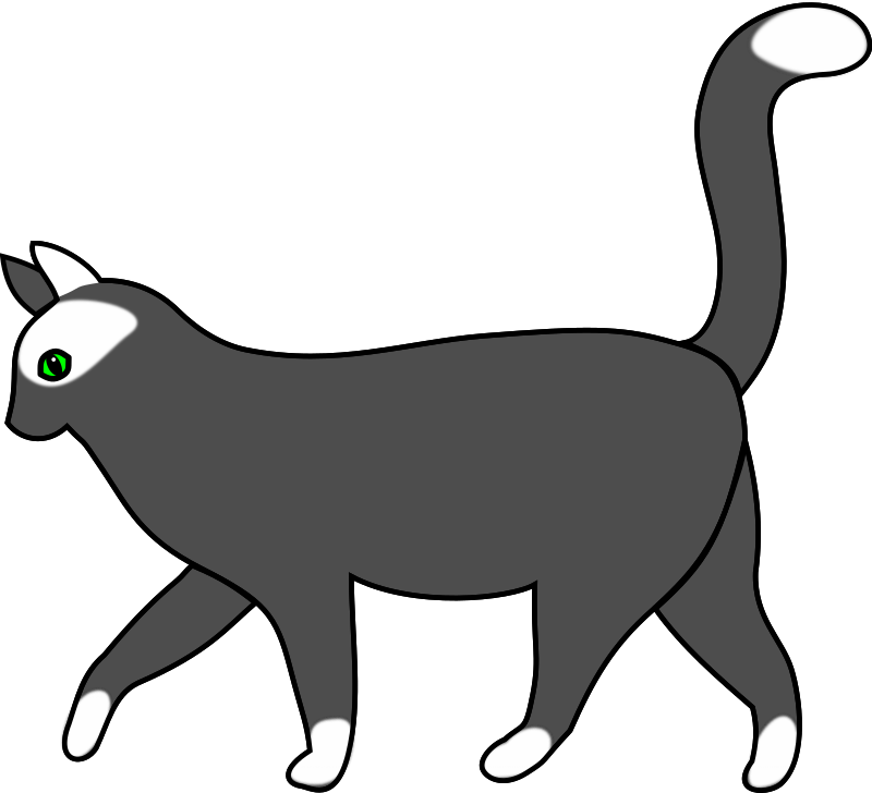 white cat walking 1